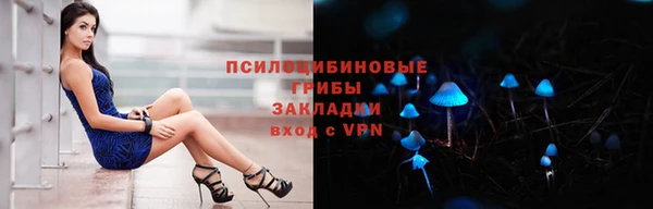 спиды Арсеньев