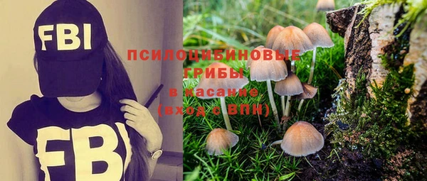 каннабис Аркадак